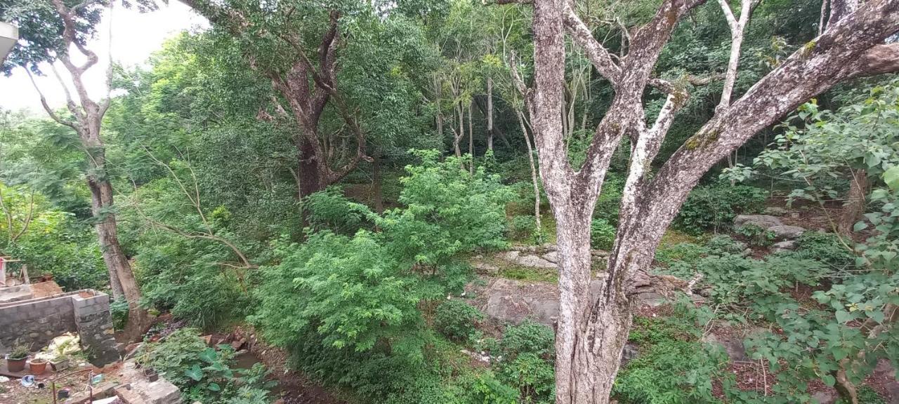 Istays - Loop Road, Yercaud Exterior photo