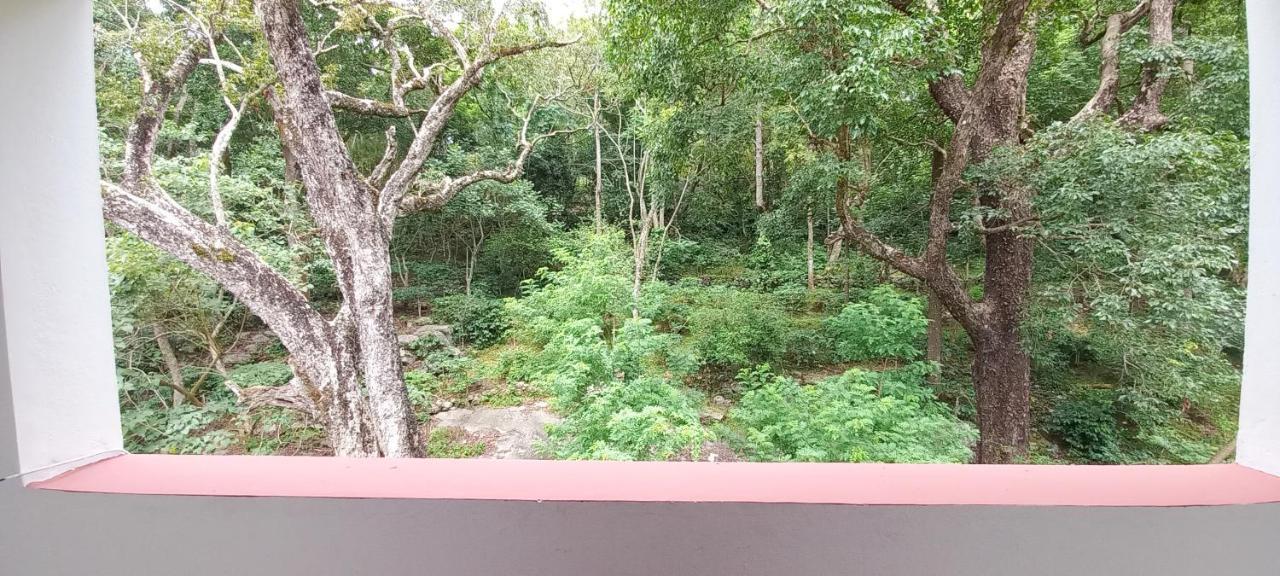 Istays - Loop Road, Yercaud Exterior photo